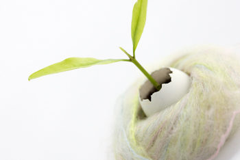 イルチブレインヨガで「自分探しの旅」を